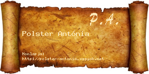 Polster Antónia névjegykártya
