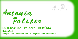 antonia polster business card